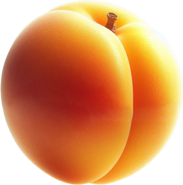 Dried Apricots